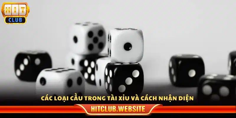 Những dạng cầu Tài Xỉu phổ biến và cách phân biệt